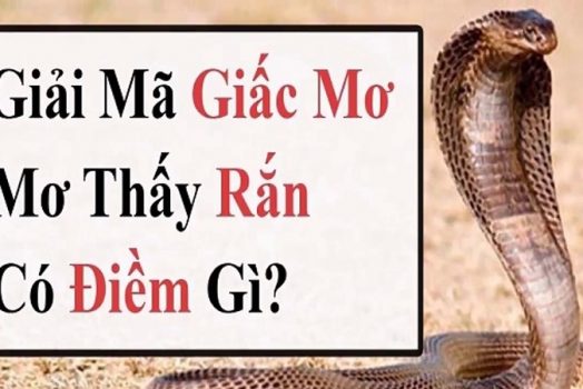 Mơ thấy rắn đánh con gì? Giải mã toàn bộ giấc mơ thấy rắn