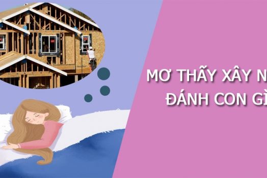 Nằm mơ thấy NHÀ đánh số mấy? Giải mã từ A-Z giấc mơ về nhà