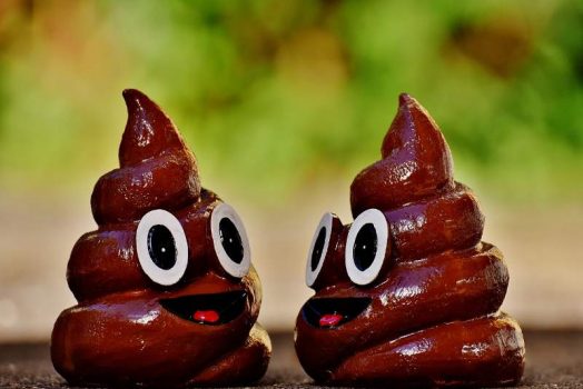 Nằm mơ thấy CỨC là báo điềm gì? Mách con số đánh đề dễ trúng