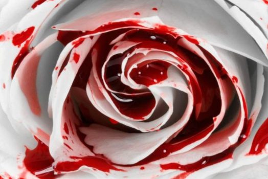 Nằm mơ thấy MÁU đánh con gì đây? Giải mã tất cả mơ về máu