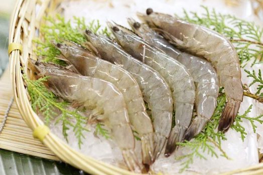 Nằm mơ thấy TÔM đánh con gì? Giải mộng các giấc mơ về tôm