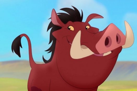 Nằm mơ thấy HEO rừng rượt đuổi là điềm gì? Đánh đề số mấy? 