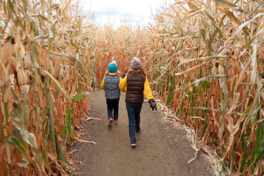 Nằm mơ thấy BỊ RƯỢT đuổi chém giết đánh số mấy? Là điểm gi?