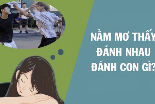 Nằm Mơ Thấy ĐÁNH NHAU Chảy Máu Đánh Con Gì Chắc Trúng?