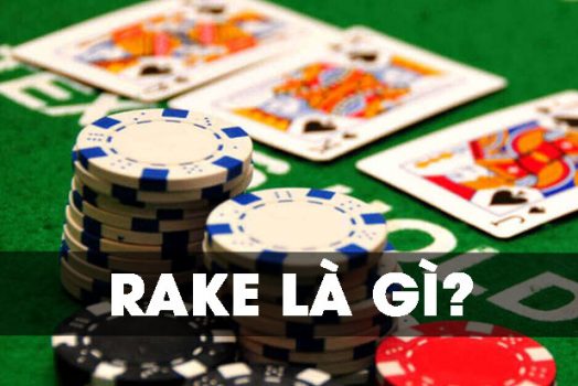 Rake trong poker là gì? Rake quan trọng thế nào trong poker?