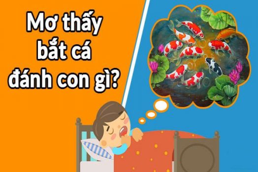 Mơ Đi Bắt Cá Đánh Đánh Đề Con Số Gì? Báo Hiệu Điều Gì?
